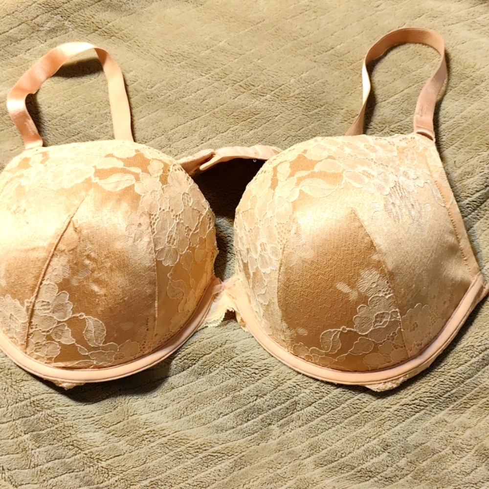 40 DDD BRA nude